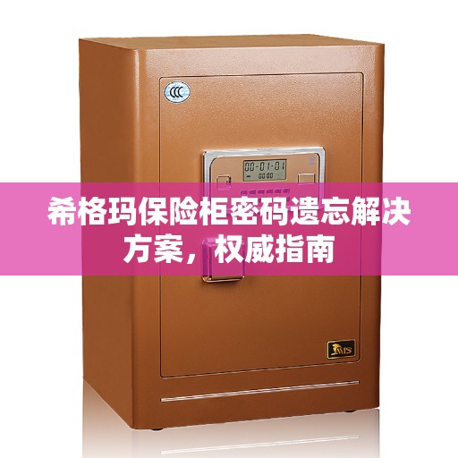 希格玛保险柜密码遗忘解决方案，权威指南