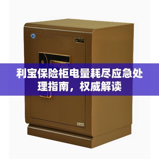 利宝保险柜电量耗尽应急处理指南，权威解读