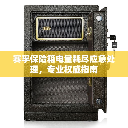 赛孚保险箱电量耗尽应急处理，专业权威指南