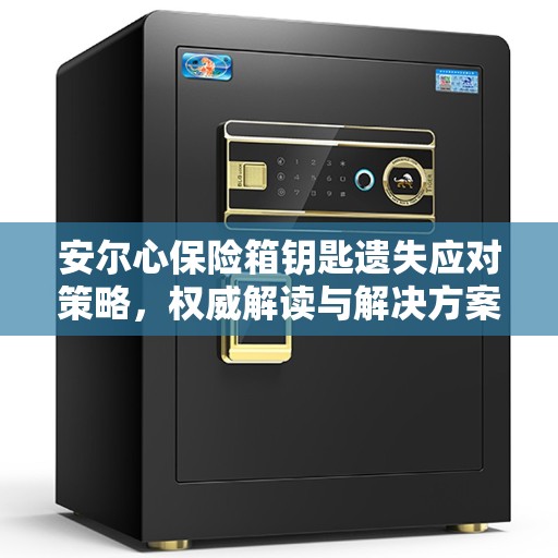 安尔心保险箱钥匙遗失应对策略，权威解读与解决方案