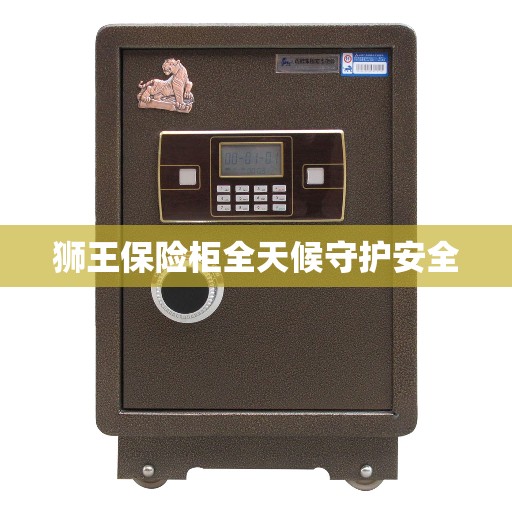狮王保险柜全天候守护安全