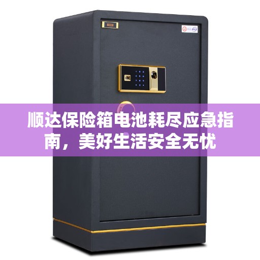 顺达保险箱电池耗尽应急指南，美好生活安全无忧