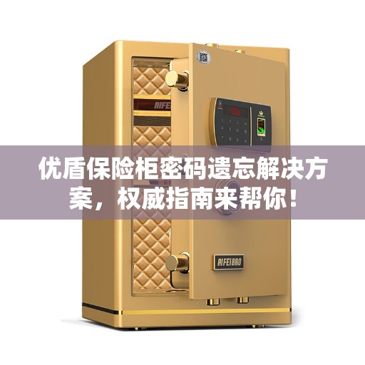 优盾保险柜密码遗忘解决方案，权威指南来帮你！