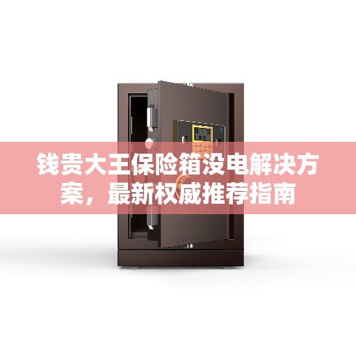 钱贵大王保险箱没电解决方案，最新权威推荐指南