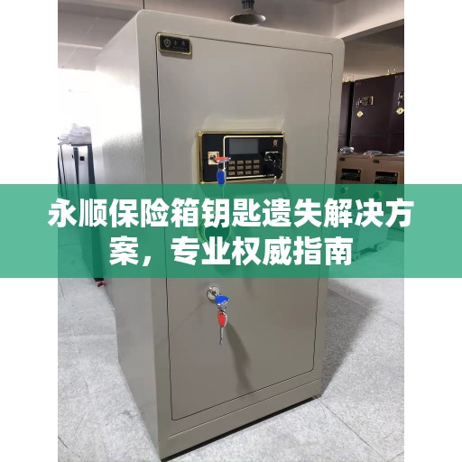 永顺保险箱钥匙遗失解决方案，专业权威指南