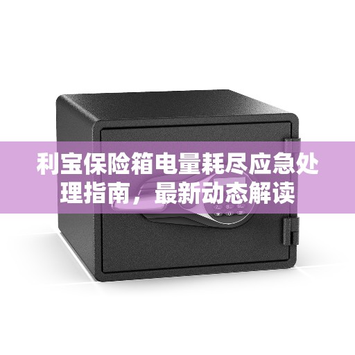 利宝保险箱电量耗尽应急处理指南，最新动态解读