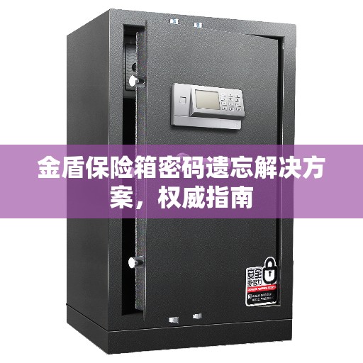 金盾保险箱密码遗忘解决方案，权威指南