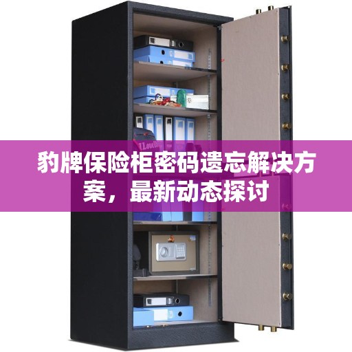 豹牌保险柜密码遗忘解决方案，最新动态探讨