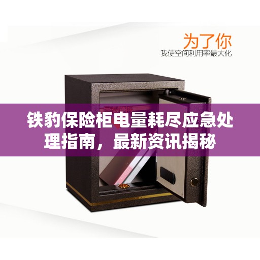 铁豹保险柜电量耗尽应急处理指南，最新资讯揭秘