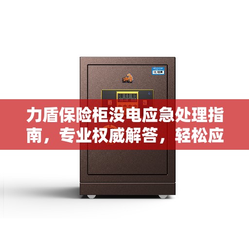 力盾保险柜没电应急处理指南，专业权威解答，轻松应对突发状况！