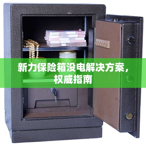 新力保险箱没电解决方案，权威指南