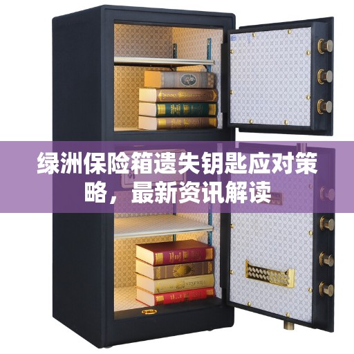 绿洲保险箱遗失钥匙应对策略，最新资讯解读