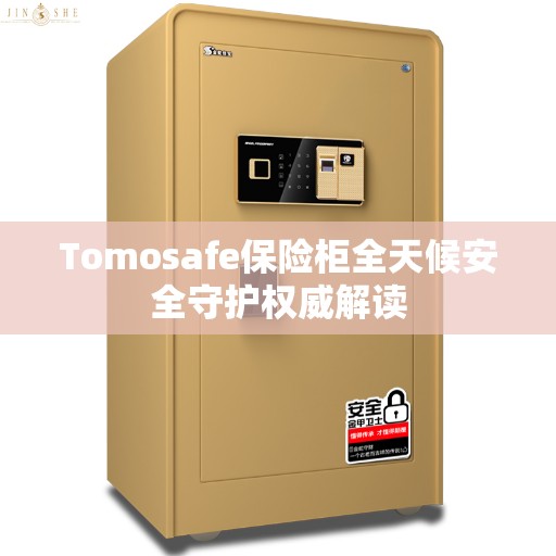 Tomosafe保险柜全天候安全守护权威解读