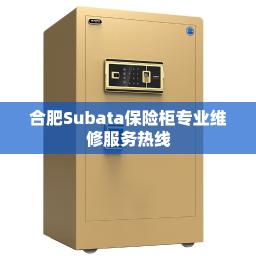 合肥Subata保险柜专业维修服务热线