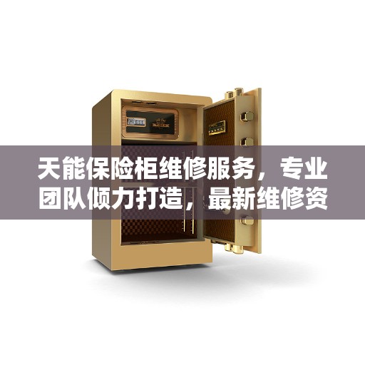 天能保险柜维修服务，专业团队倾力打造，最新维修资讯一网打尽