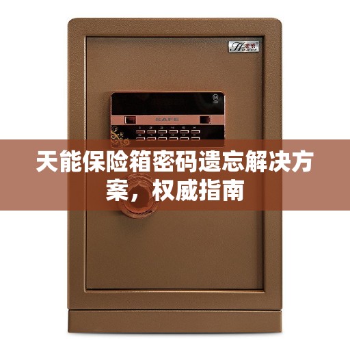 天能保险箱密码遗忘解决方案，权威指南