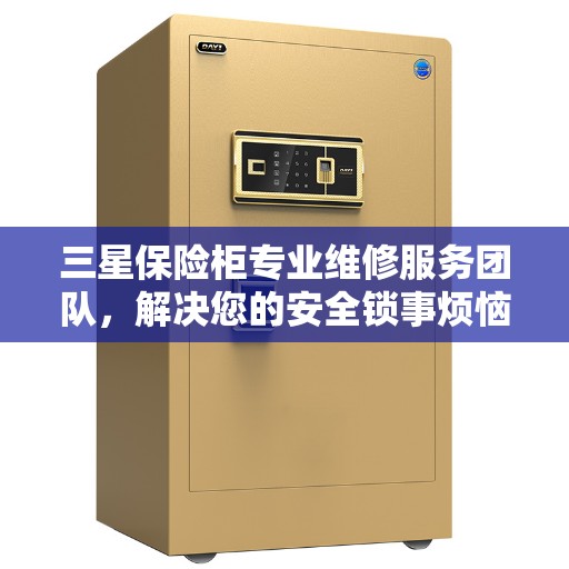 三星保险柜专业维修服务团队，解决您的安全锁事烦恼