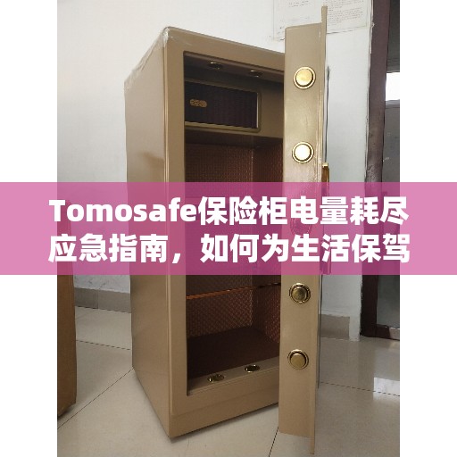 Tomosafe保险柜电量耗尽应急指南，如何为生活保驾护航？