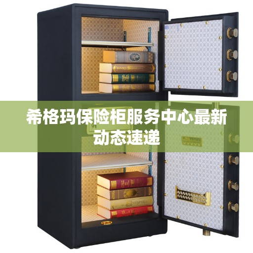 希格玛保险柜服务中心最新动态速递