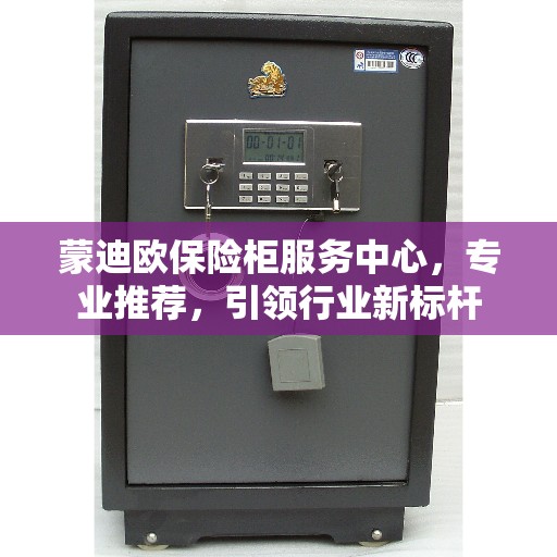 蒙迪欧保险柜服务中心，专业推荐，引领行业新标杆