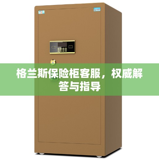 格兰斯保险柜客服，权威解答与指导