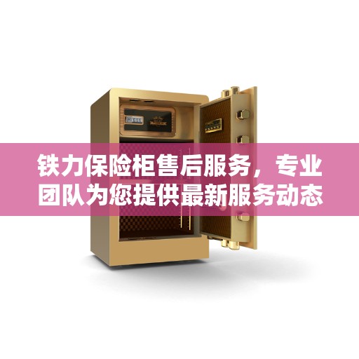 铁力保险柜售后服务，专业团队为您提供最新服务动态