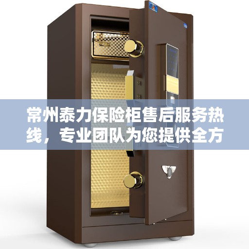 常州泰力保险柜售后服务热线，专业团队为您提供全方位服务保障