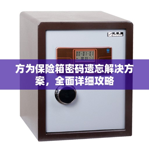 方为保险箱密码遗忘解决方案，全面详细攻略