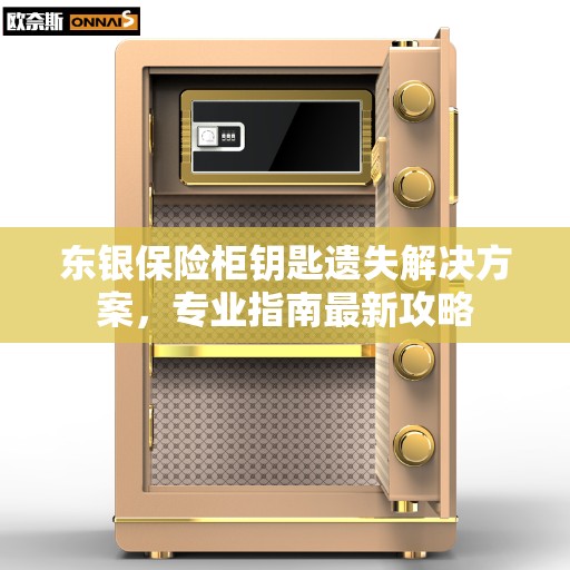 东银保险柜钥匙遗失解决方案，专业指南最新攻略