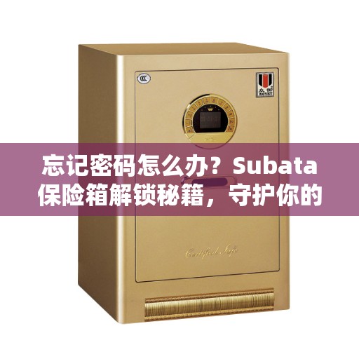 忘记密码怎么办？Subata保险箱解锁秘籍，守护你的美好生活