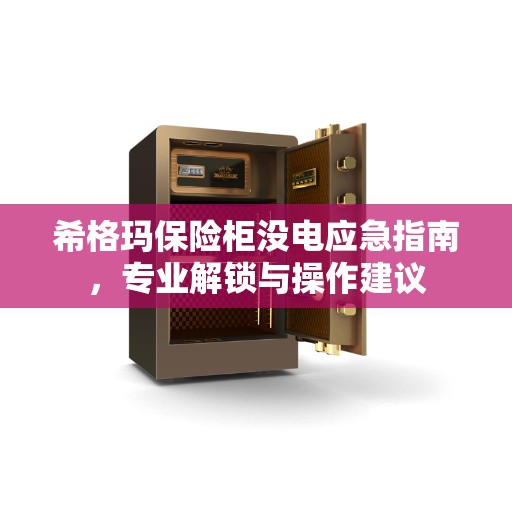 希格玛保险柜没电应急指南，专业解锁与操作建议