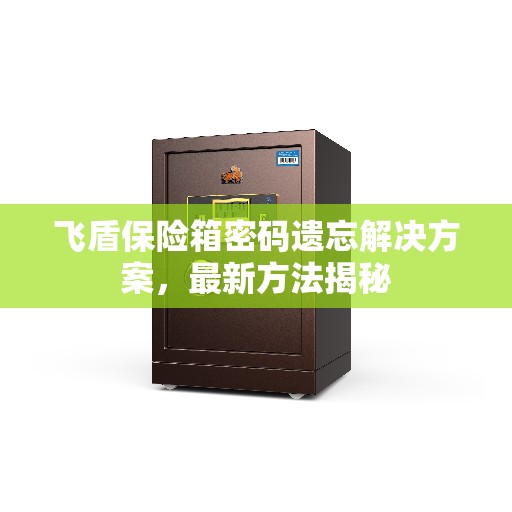 飞盾保险箱密码遗忘解决方案，最新方法揭秘