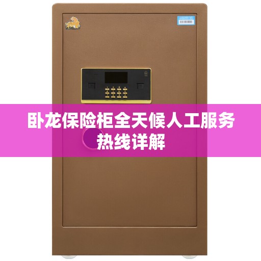 卧龙保险柜全天候人工服务热线详解