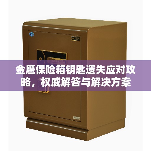 金鹰保险箱钥匙遗失应对攻略，权威解答与解决方案