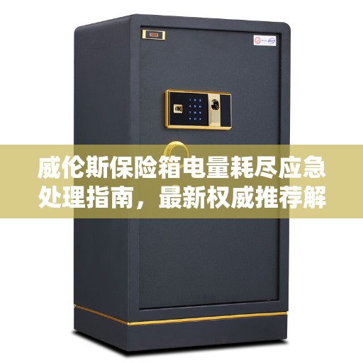 威伦斯保险箱电量耗尽应急处理指南，最新权威推荐解决方案