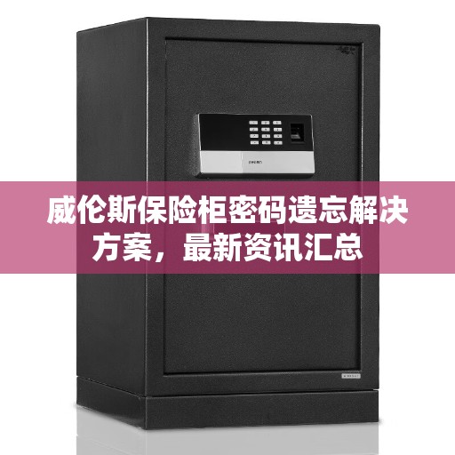威伦斯保险柜密码遗忘解决方案，最新资讯汇总