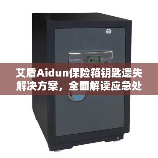 艾盾Aidun保险箱钥匙遗失解决方案，全面解读应急处理方法