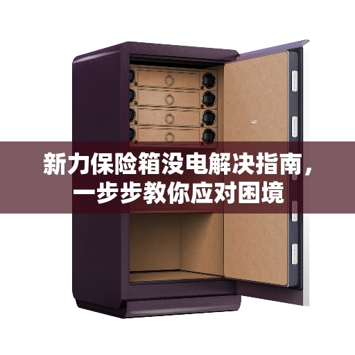 新力保险箱没电解决指南，一步步教你应对困境