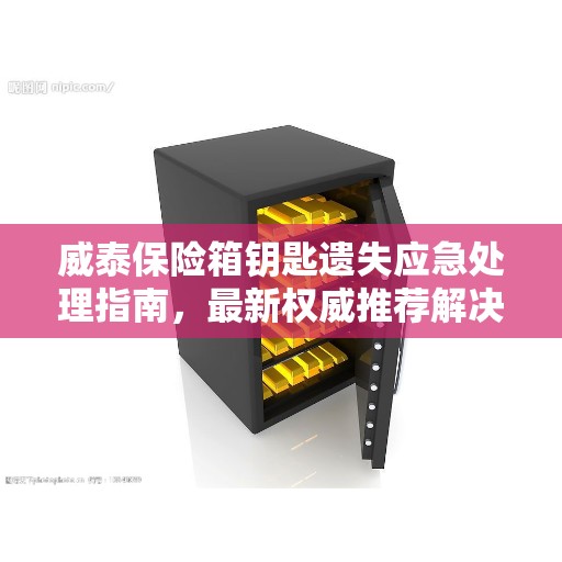 威泰保险箱钥匙遗失应急处理指南，最新权威推荐解决方案