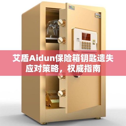 艾盾Aidun保险箱钥匙遗失应对策略，权威指南