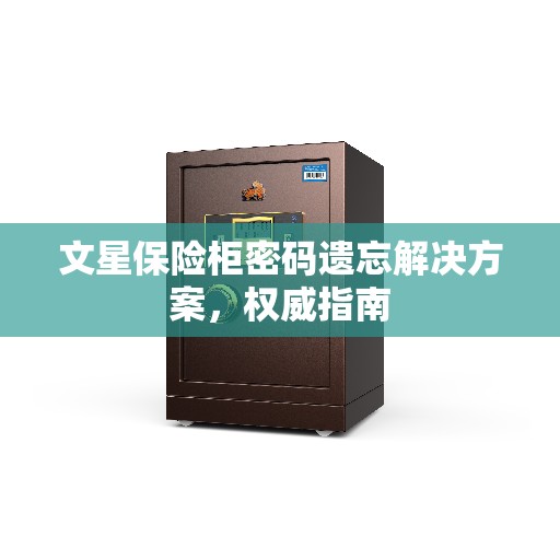 文星保险柜密码遗忘解决方案，权威指南