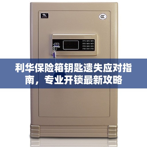 利华保险箱钥匙遗失应对指南，专业开锁最新攻略