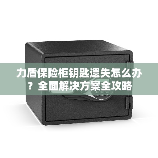 力盾保险柜钥匙遗失怎么办？全面解决方案全攻略