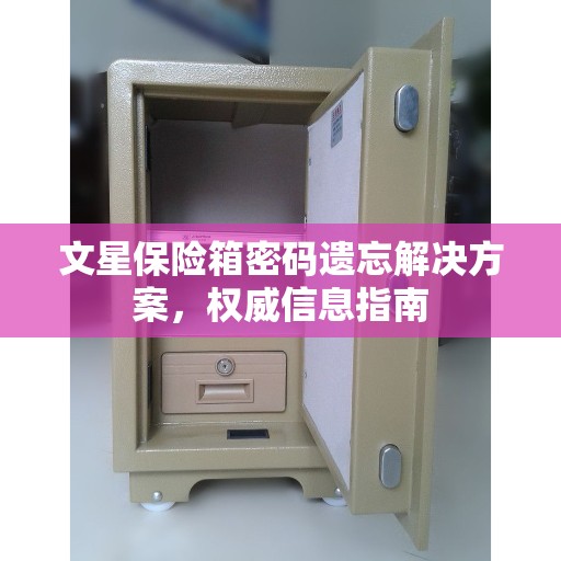 文星保险箱密码遗忘解决方案，权威信息指南