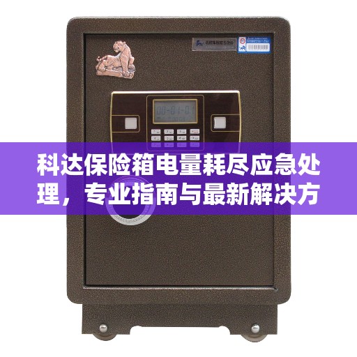 科达保险箱电量耗尽应急处理，专业指南与最新解决方案