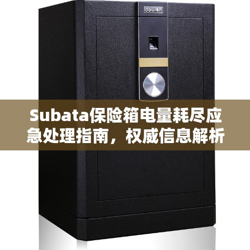 Subata保险箱电量耗尽应急处理指南，权威信息解析