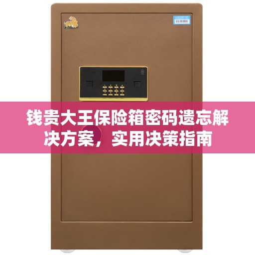 钱贵大王保险箱密码遗忘解决方案，实用决策指南