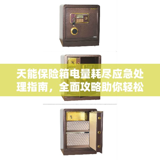 天能保险箱电量耗尽应急处理指南，全面攻略助你轻松解决！