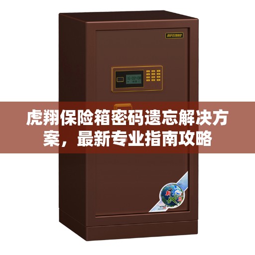 虎翔保险箱密码遗忘解决方案，最新专业指南攻略