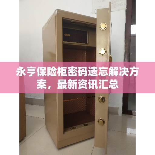 永亨保险柜密码遗忘解决方案，最新资讯汇总
